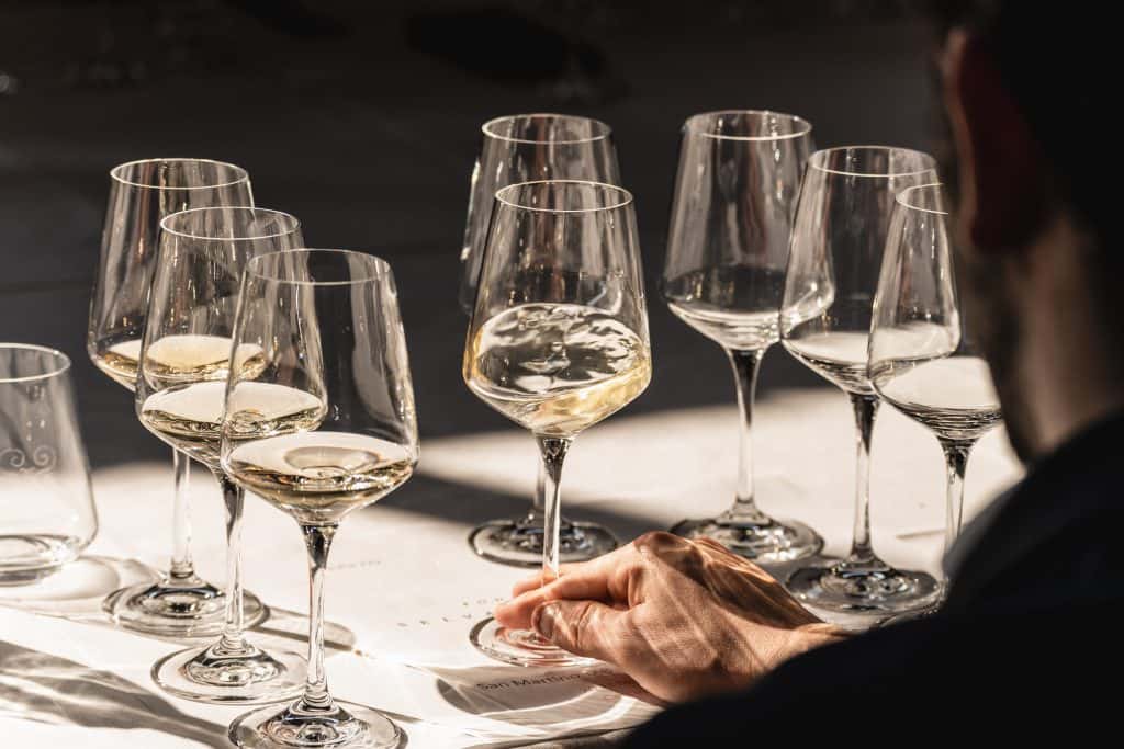 La mano di una persona regge un bicchiere di vino tra diversi bicchieri pieni di vino bianco, disposti su un tavolo alla luce del sole. La scena fa pensare a un evento di degustazione di vini.